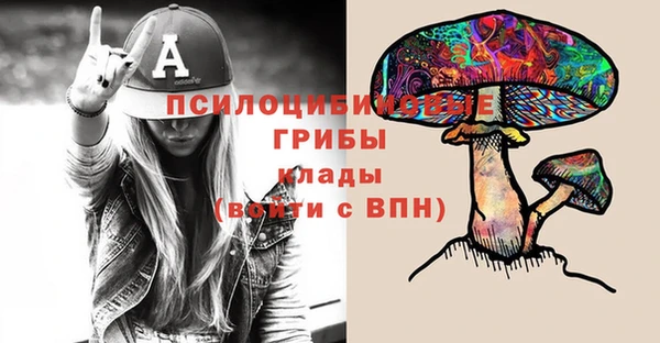 гидра Абаза