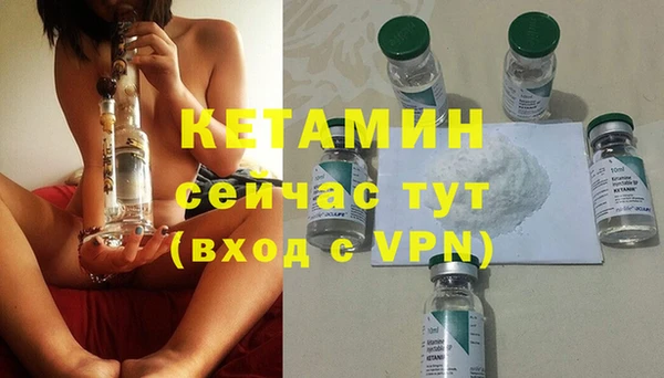 гидра Абаза