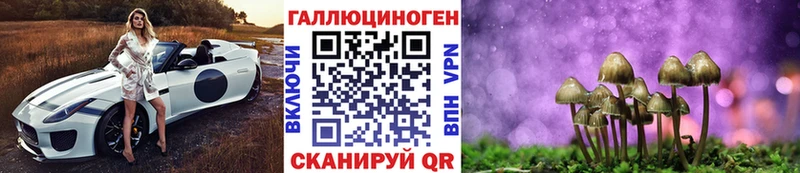 Галлюциногенные грибы Psilocybe  где продают наркотики  Болотное 