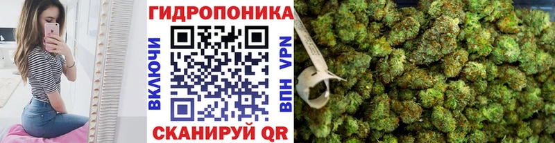 Шишки марихуана семена  Болотное 